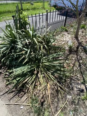 Top Notch Landscaping