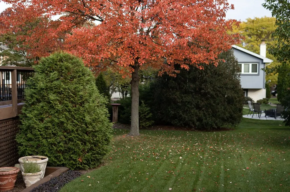 Professional landscape design in North Ridgeville, OH - Top Notch Landscaping