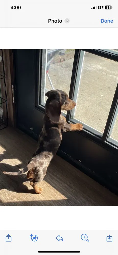 Expert landscaping services experts serving Lindale, GA - Top Notch Lawn and Landscaping