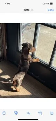 Top Notch Lawn and Landscaping