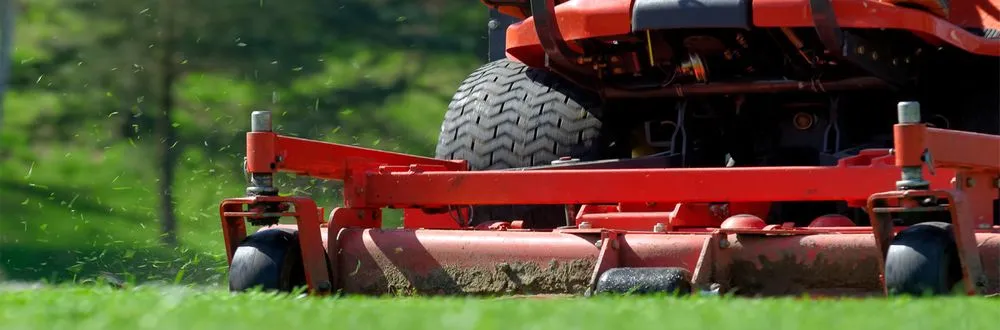 Top-rated yard cleanup service for outdoor upgrades in Baltimore, MD by Top Notch Lawn Care & Grass Cutting