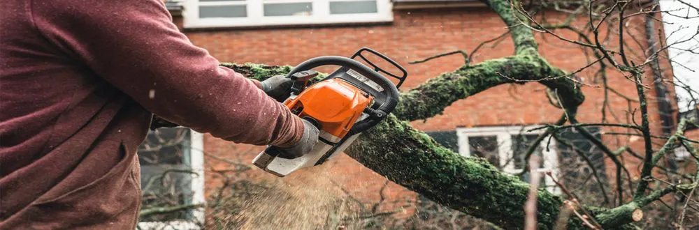 Professional lawn mowing service in Baltimore, MD by Top Notch Lawn Care & Grass Cutting