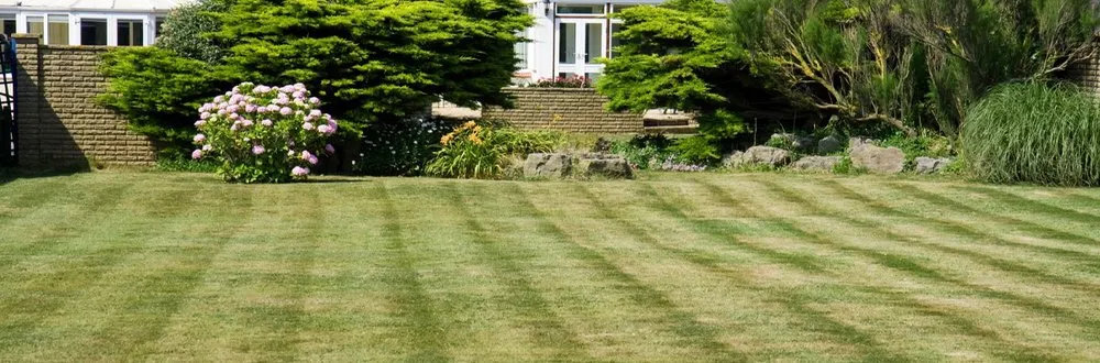 Reliable outdoor landscaping near you in Baltimore, MD by Top Notch Lawn Care & Grass Cutting