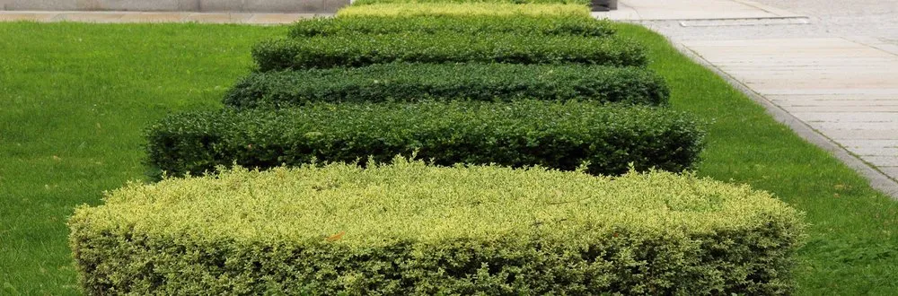 Custom garden landscaping for year-round maintenance in Baltimore, MD by Top Notch Lawn Care & Grass Cutting