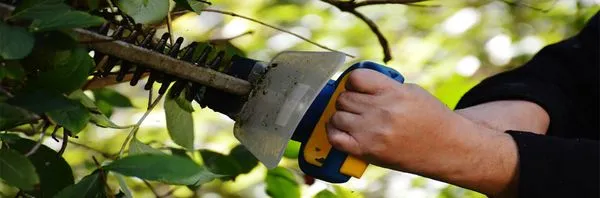 Top Notch Lawn Care & Grass Cutting Logo