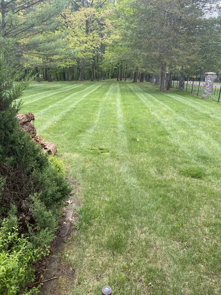 Professional outdoor landscaping near you in Baraboo, WI by Top Notch Lawn Care