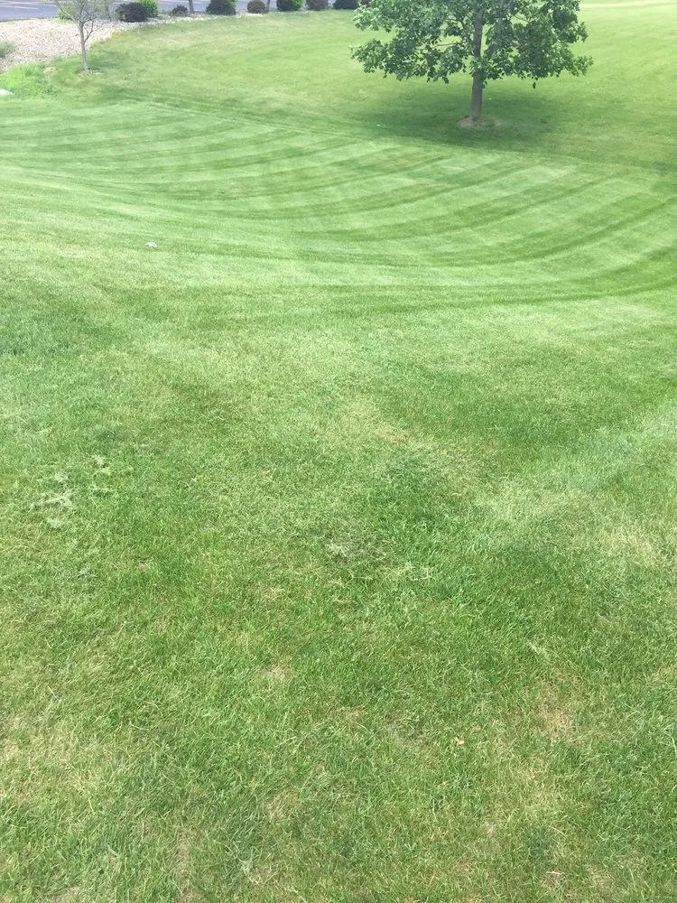 Top-rated yard cleanup service for homes in Baraboo, WI by Top Notch Lawn Care