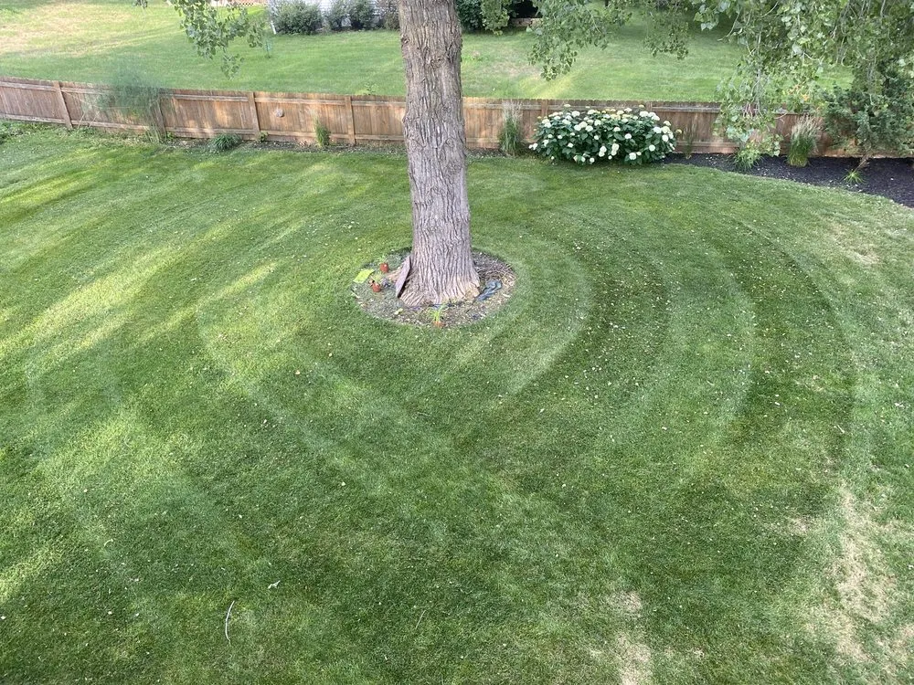 Expert landscape installation experts serving Baraboo, WI - Top Notch Lawn Care