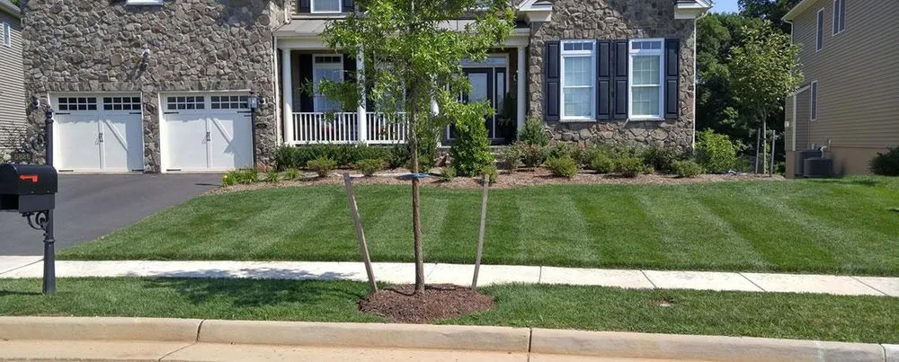 Expert lawn mowing service for beautiful yards in Colonial Heights, VA by Top Notch Lawn Care