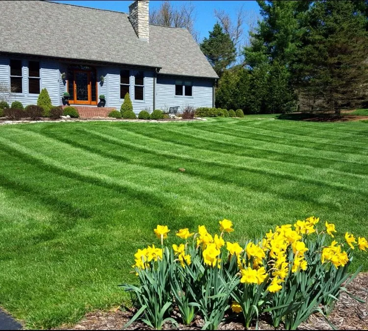 Affordable landscape design experts serving Delaware, OH - Top Notch Lawn Care
