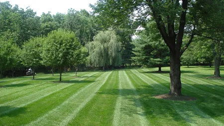 Affordable landscape design in Delaware, OH by Top Notch Lawn Care