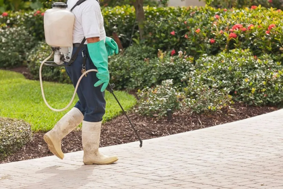 Custom landscape design for residential properties across Humble, TX - Top Notch Lawn Care