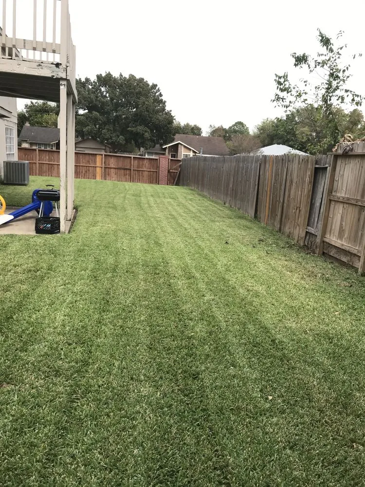 Professional lawn care service in Humble, TX - Top Notch Lawn Care