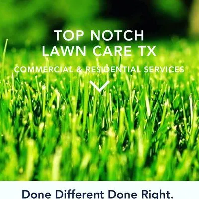 Top Notch Lawn Care Logo