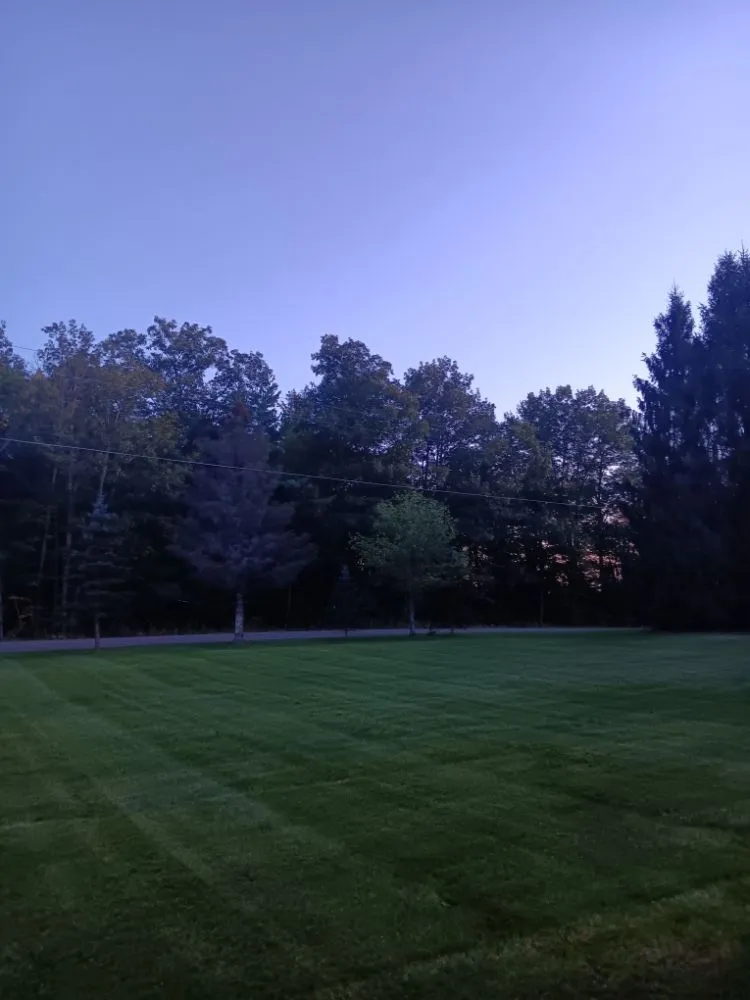 Professional lawn care service for year-round maintenance in Maine, NY by Top Notch Lawn Care