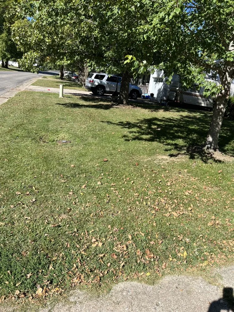 Local landscaping services with custom design in Mexico, MO by Top Notch Lawn Care