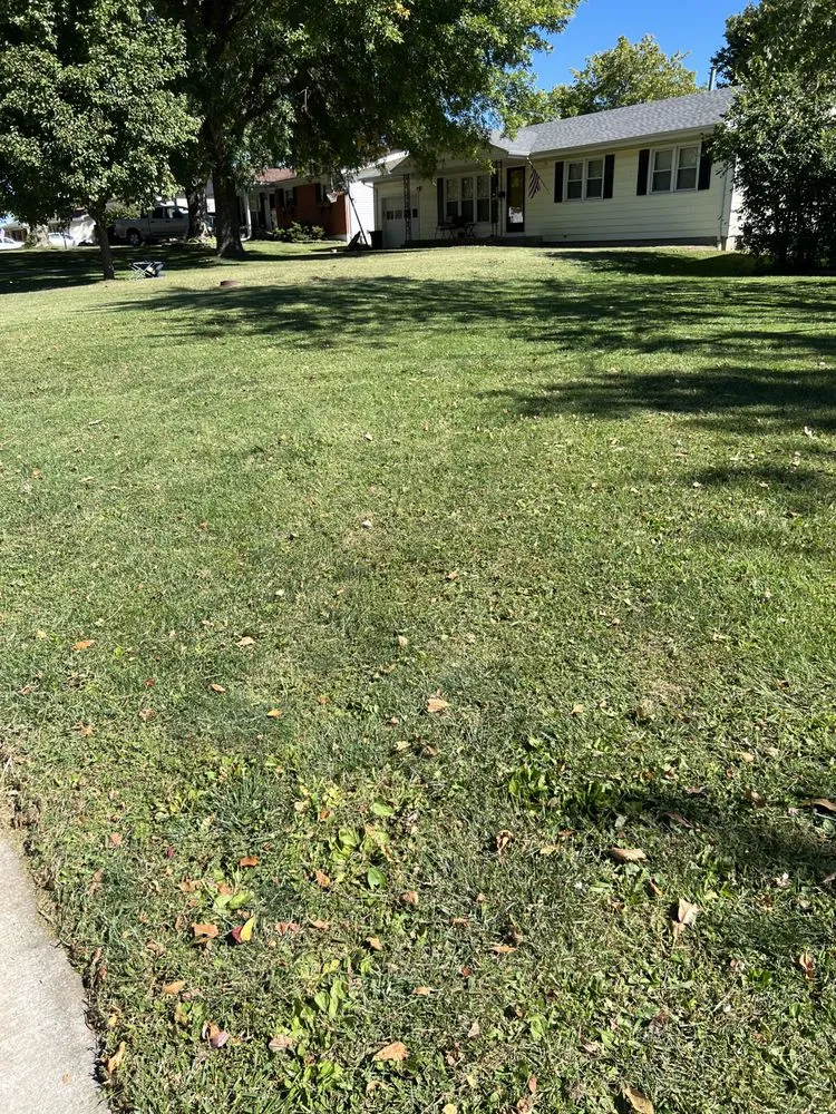 Expert lawn care service in Mexico, MO by Top Notch Lawn Care