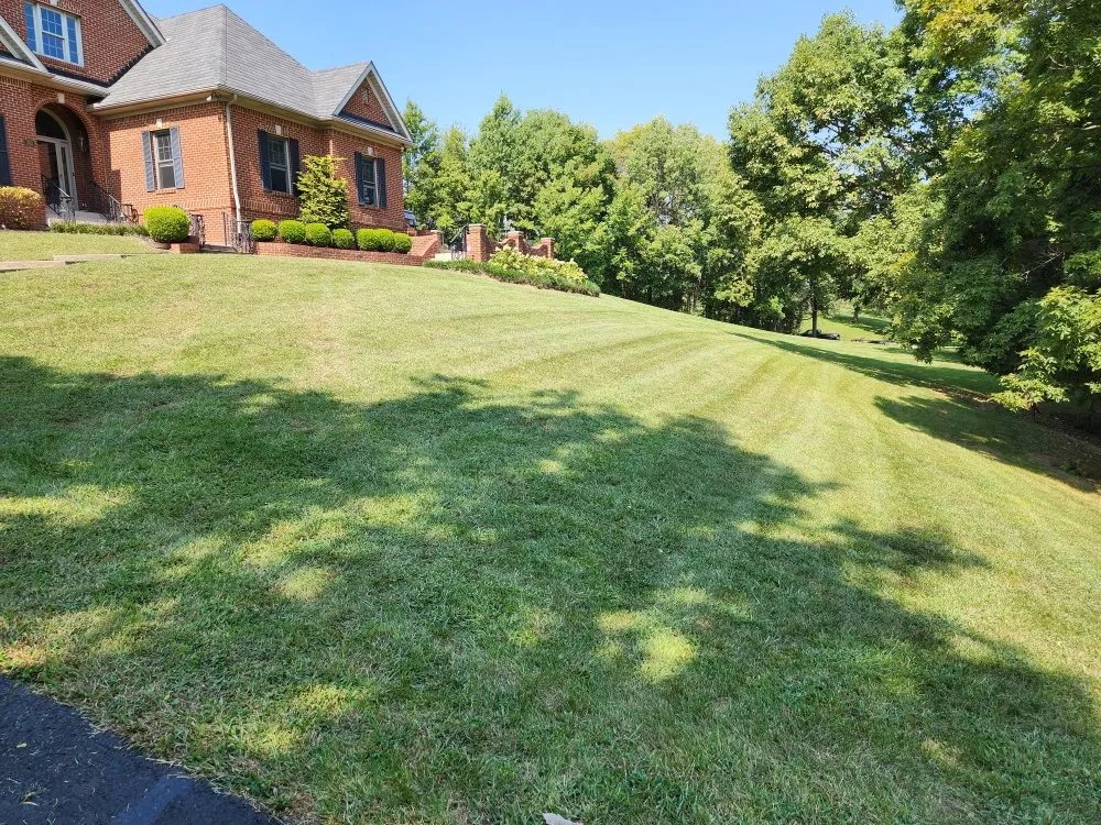 Local yard cleanup service with custom design in Lebanon, KY by Top Notch Lawn Maintenance