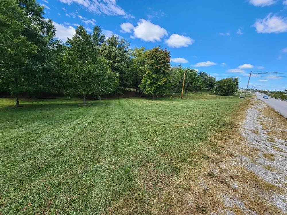 Local yard cleanup service experts serving Lebanon, KY - Top Notch Lawn Maintenance