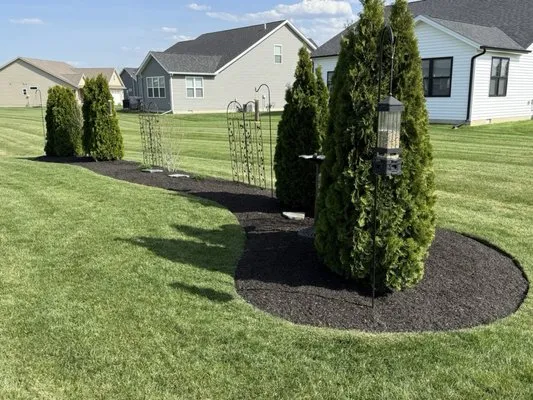 Top Notch Lawn Maintenance
