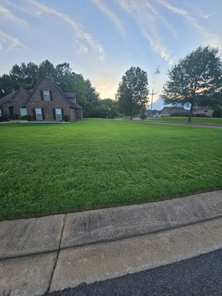 Expert landscaping services in Horn Lake, MS - Top Notch Lawn Services