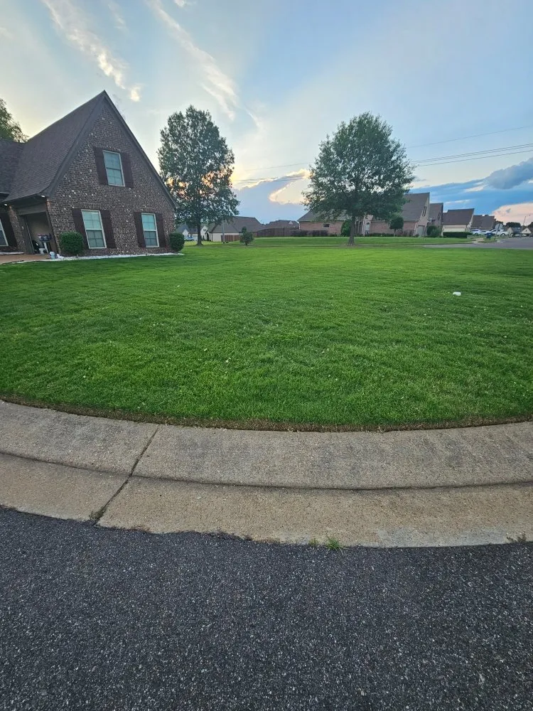 Local residential landscaping in Horn Lake, MS - Top Notch Lawn Services