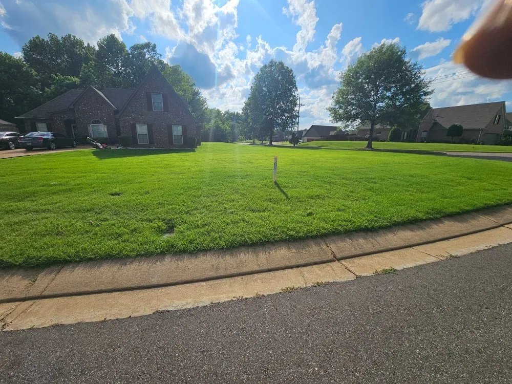 Expert landscape installation for outdoor upgrades across Horn Lake, MS - Top Notch Lawn Services