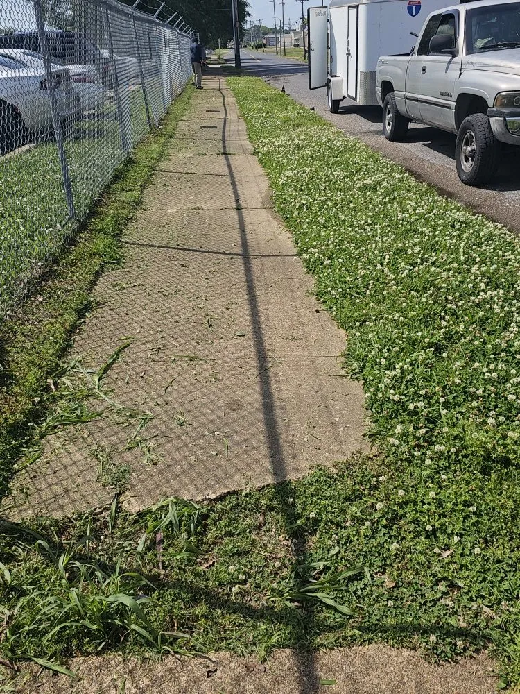 Custom yard cleanup service near you in Horn Lake, MS by Top Notch Lawn Services