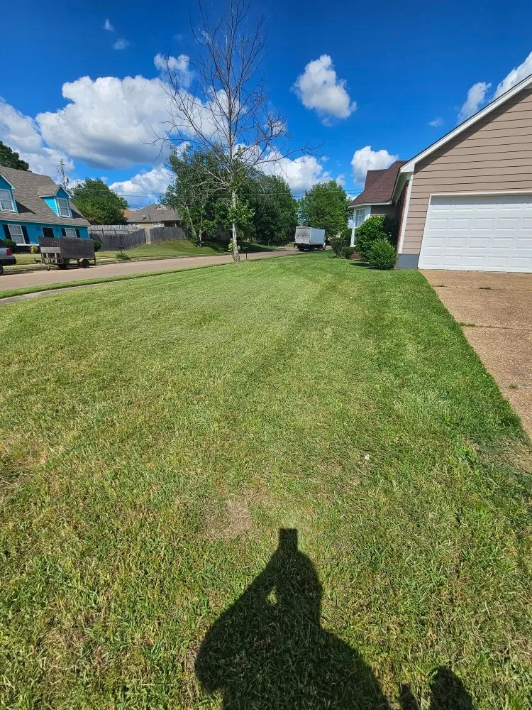 Expert lawn care service experts serving Horn Lake, MS - Top Notch Lawn Services