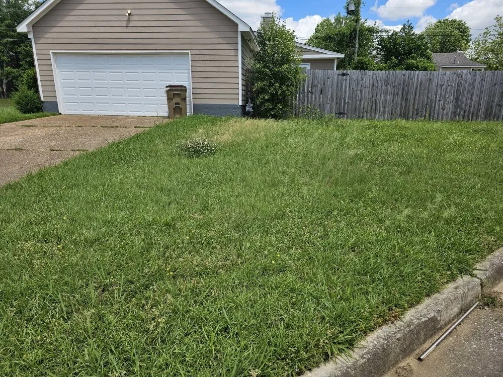 Expert yard maintenance in Horn Lake, MS - Top Notch Lawn Services