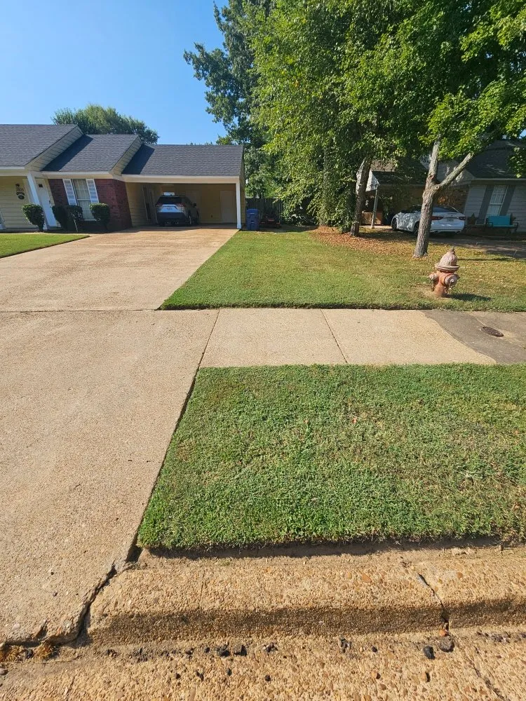Local outdoor landscaping for homes in Horn Lake, MS by Top Notch Lawn Services