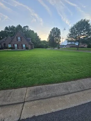 Top Notch Lawn Services