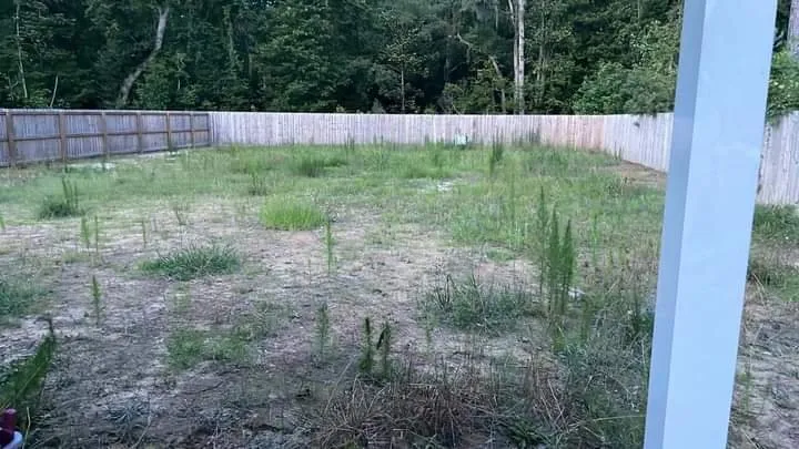 Affordable garden landscaping for year-round maintenance in Ludowici, GA by Top Notch Lawncare & Landscapes