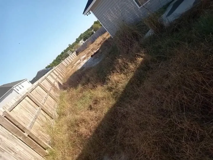 Expert landscaping services in Ludowici, GA - Top Notch Lawncare & Landscapes