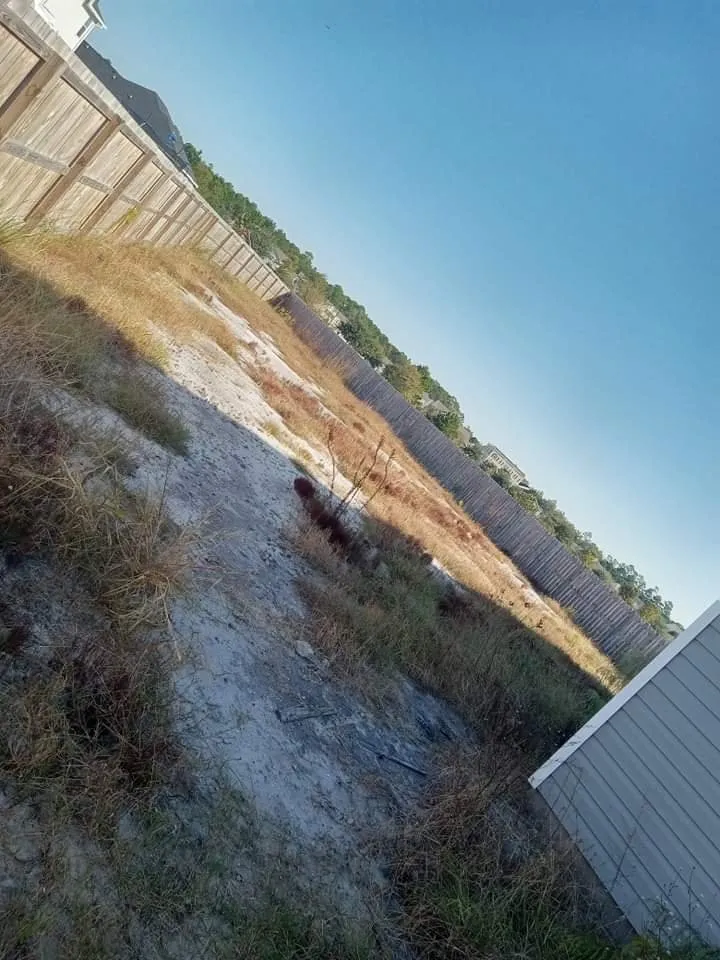 Local residential landscaping in Ludowici, GA - Top Notch Lawncare & Landscapes