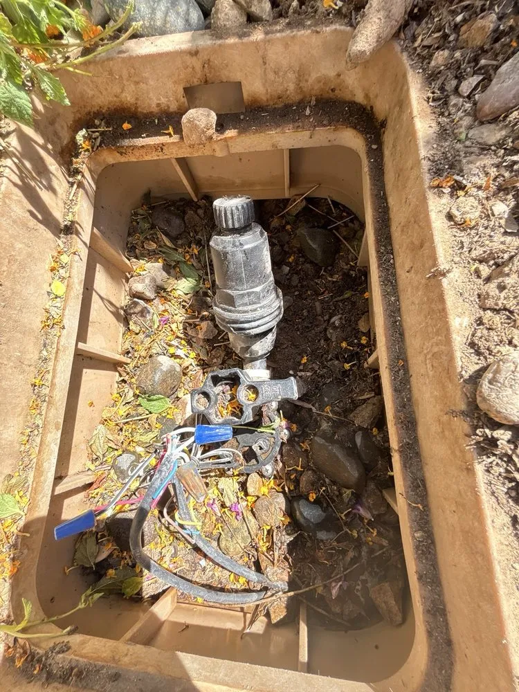 Affordable yard cleanup service with custom design in Las Vegas, NV by Top Notch Lawncare And Irrigation