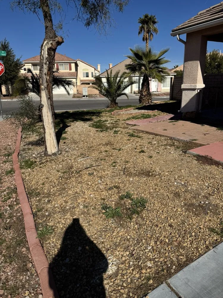 Local landscape installation experts serving Las Vegas, NV - Top Notch Lawncare And Irrigation