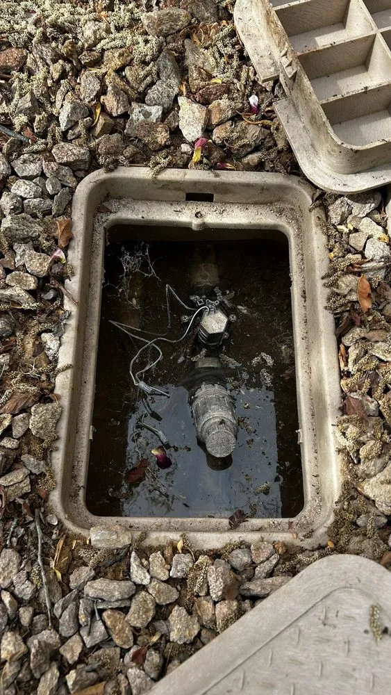 Top-rated yard maintenance experts serving Las Vegas, NV - Top Notch Lawncare And Irrigation