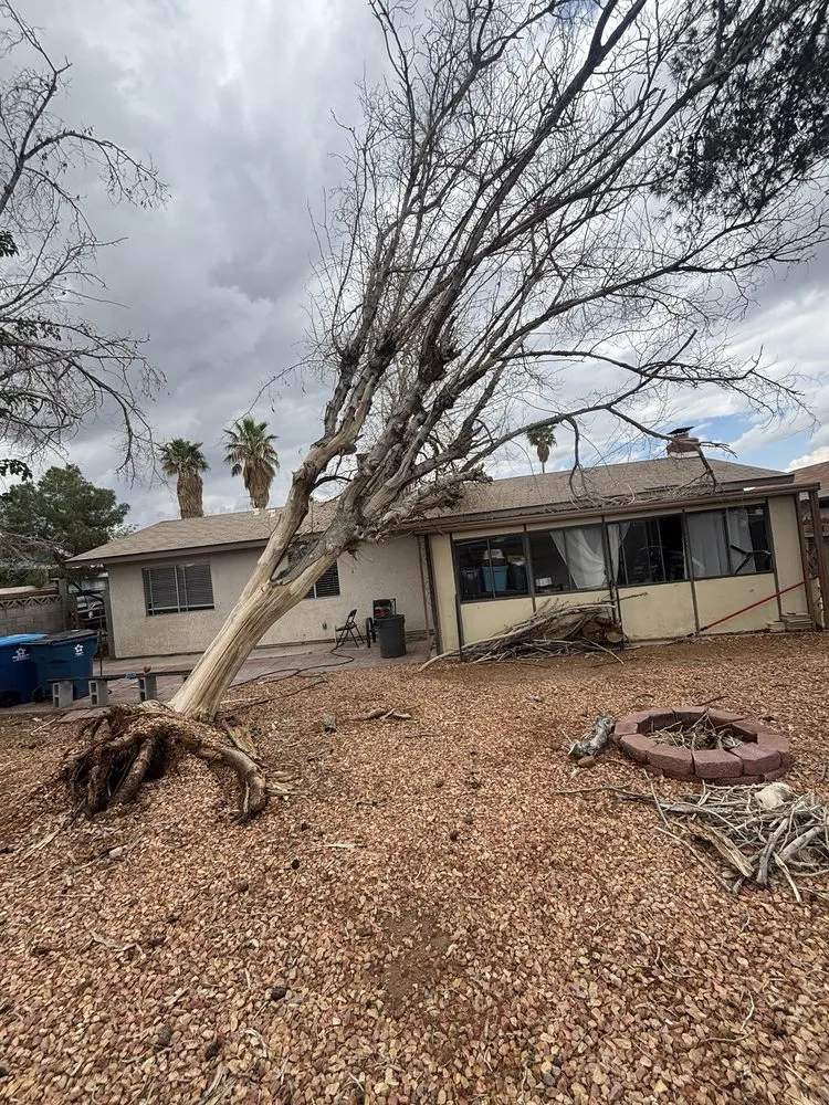 Professional lawn mowing service in Las Vegas, NV - Top Notch Lawncare And Irrigation