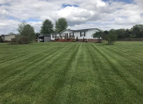 Top Notch Lawncare Danville