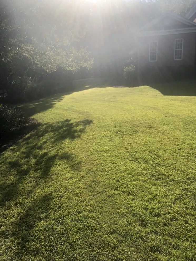 Affordable yard cleanup service in Columbia, SC by Top Notch Lawns