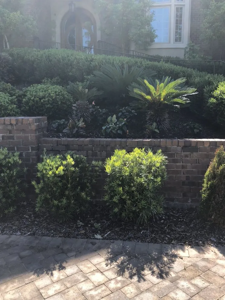 Top-rated outdoor landscaping in Columbia, SC - Top Notch Lawns