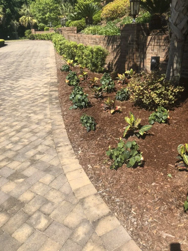Reliable outdoor landscaping in Columbia, SC by Top Notch Lawns