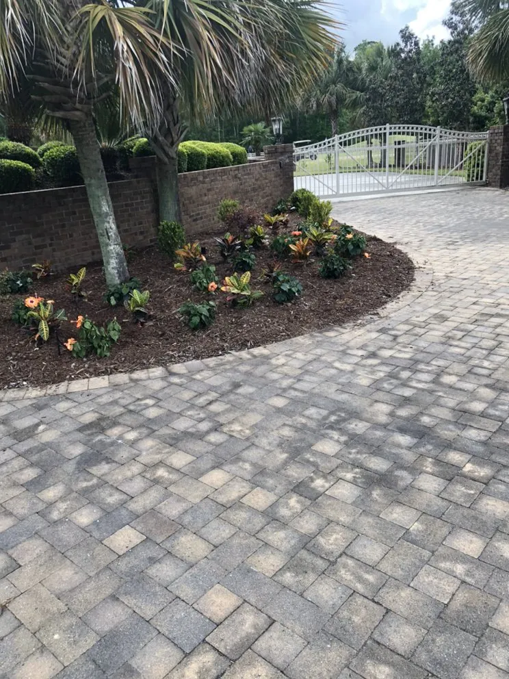 Professional landscaping services in Columbia, SC - Top Notch Lawns