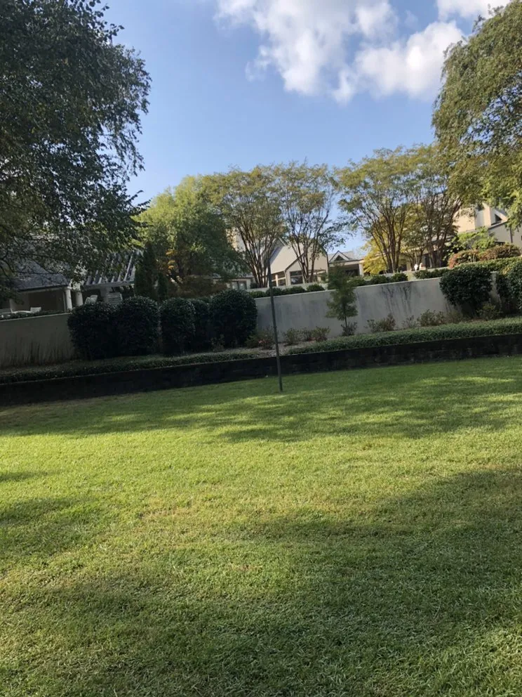 Reliable yard maintenance for year-round maintenance in Columbia, SC by Top Notch Lawns