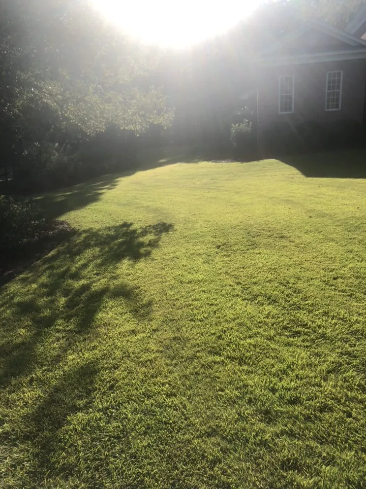 Reliable landscape design with custom design in Columbia, SC by Top Notch Lawns