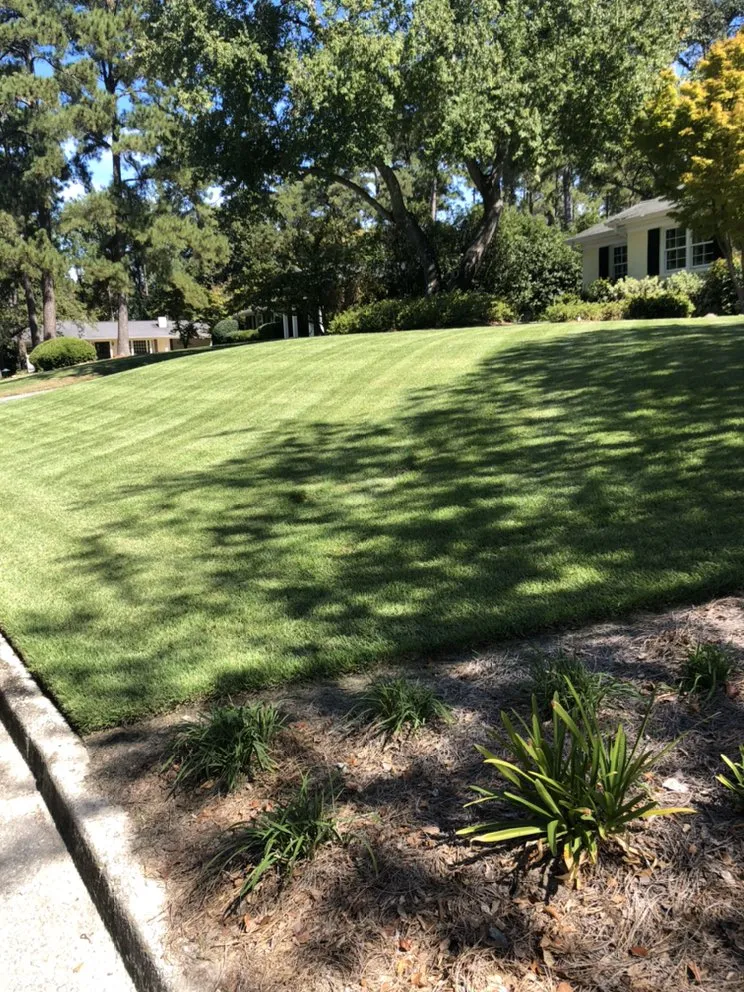Affordable lawn care service experts serving Columbia, SC - Top Notch Lawns