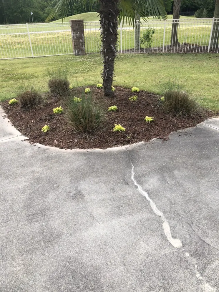 Expert lawn care service in Columbia, SC by Top Notch Lawns