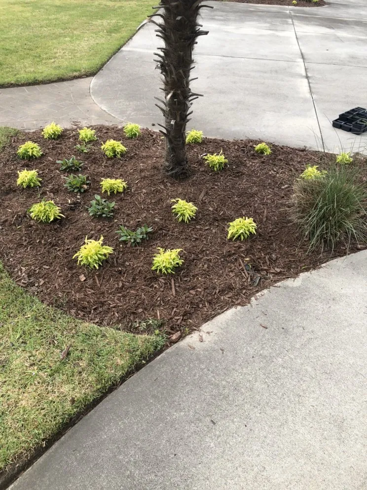 Professional landscape design in Columbia, SC - Top Notch Lawns