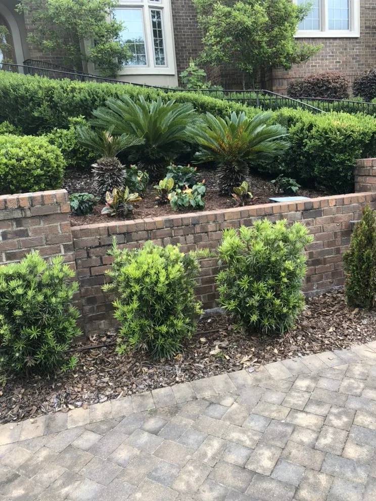 Reliable yard maintenance in Columbia, SC - Top Notch Lawns